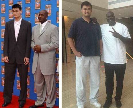 是建立稳健 是建立稳健